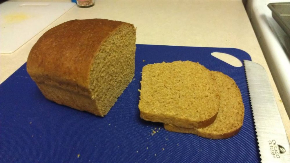 2014-09-08 Molasses Bread.jpg