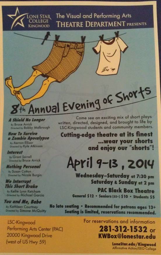 8th Annual Evening of Shorts poster.jpg