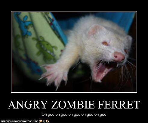 angry-zombie-ferret.jpg