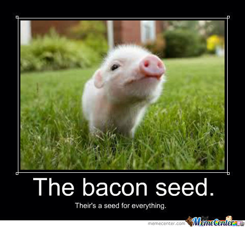bacon-seed_o_1387453.jpg