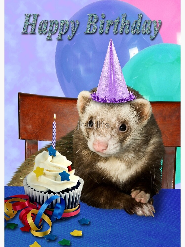 Birthday ferret.jpg