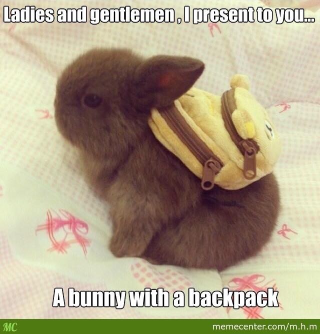bunny w backpack.jpg