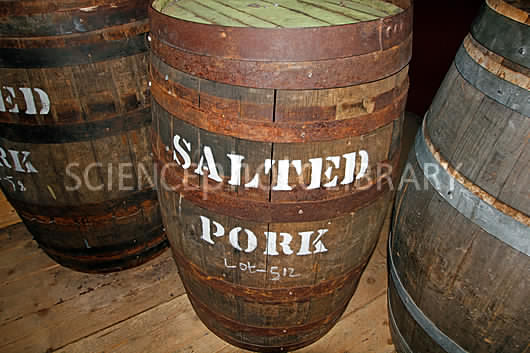 C0144719-Barrels_of_salted_pork-SPL.jpg