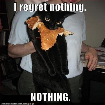 Cat regrets nothing.jpg