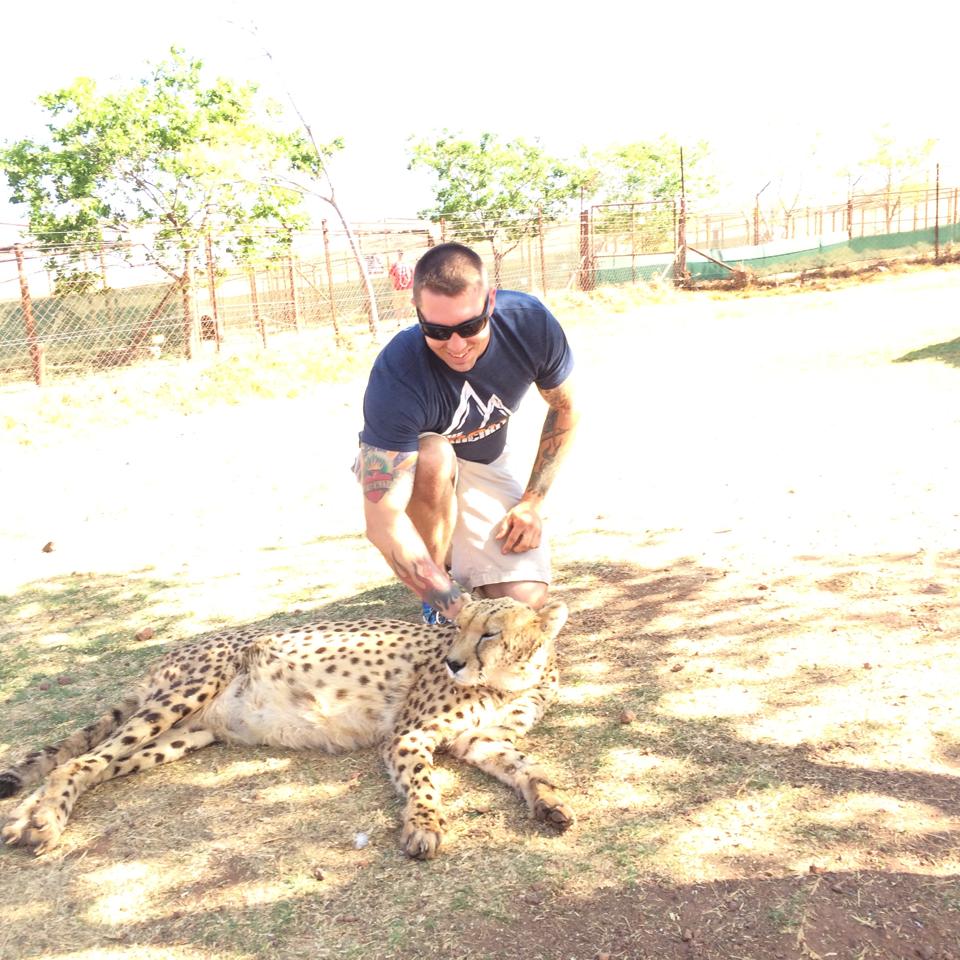 cheetah.jpg