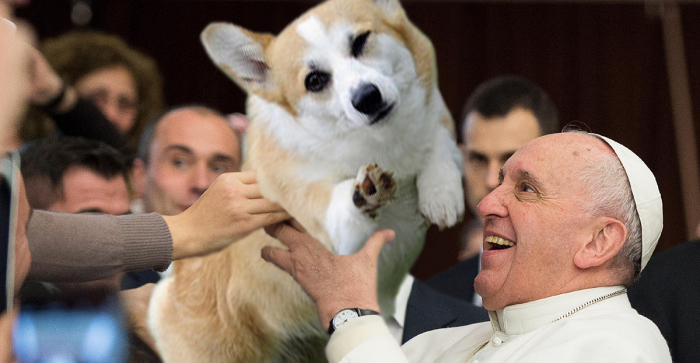 Cool Corgi And The Pope.jpg