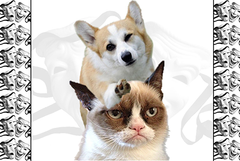Cool Corgi & Grumpy Cat.jpg