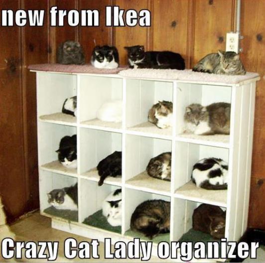 Crazy Cat Lady Organizer.jpg