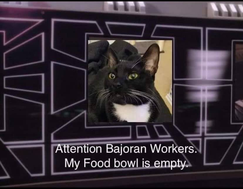 DS9 Attention Bajoran Workers My Food Bowl is Empty.png