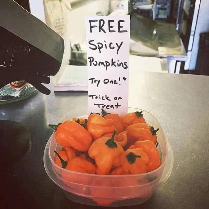 Free spicy pumpkins.jpg