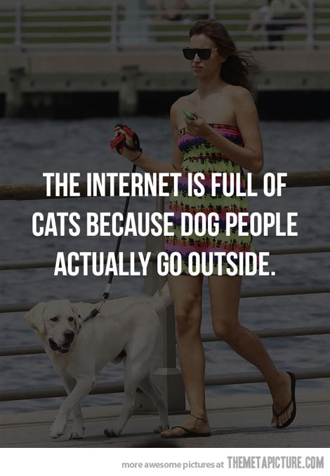 funny-dogs-vs-cats-quote.jpg