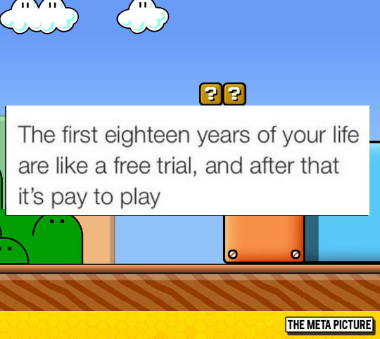 funny-life-like-gaming-pay-adult-Mario.jpg