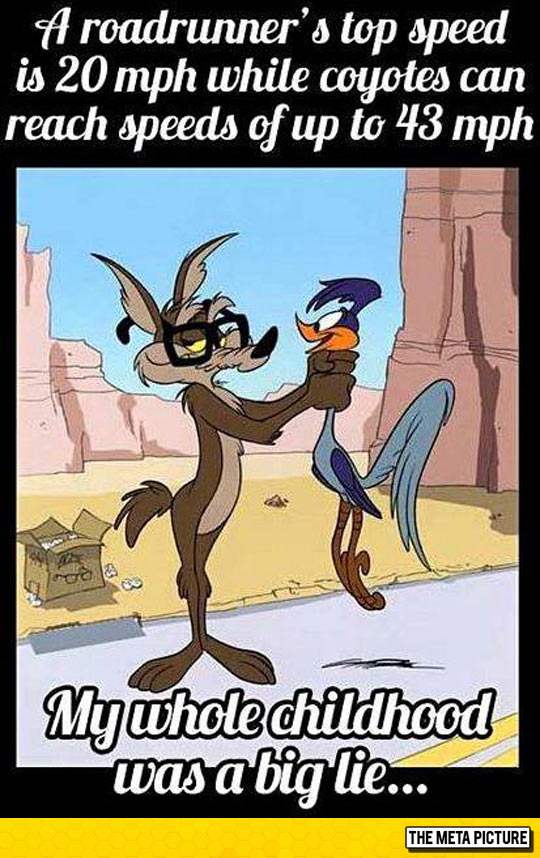 funny-road-runner-coyote-cartoon.jpg