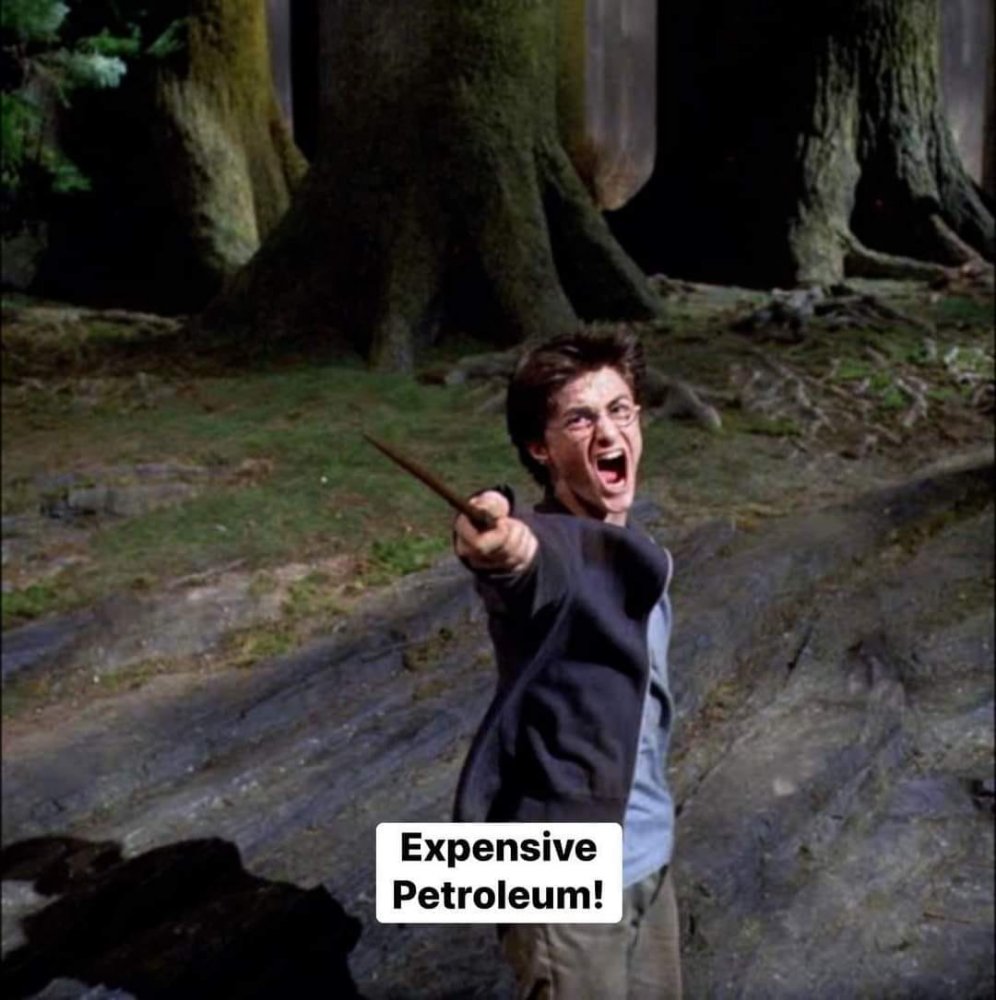 Harry Potter _ Expensive Petroleum.jpg