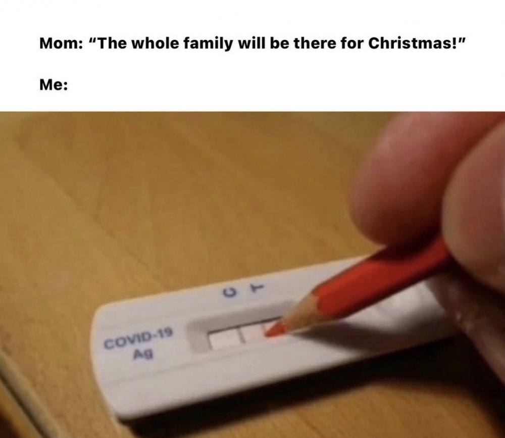 How to avoid family at Christmas.jpg