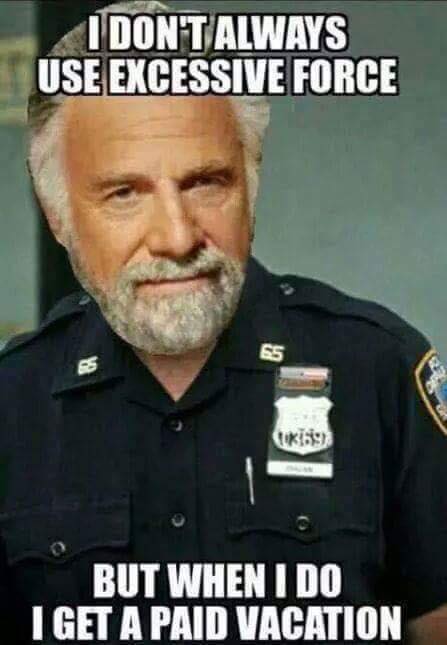 I don't always use excessive force.jpg