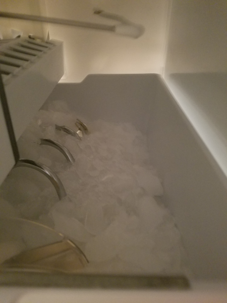 icebin.png