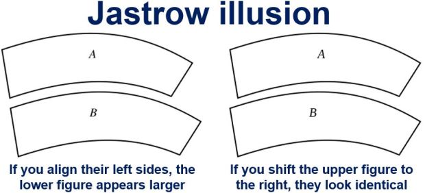 jastrow-illusion.jpg