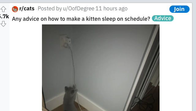 kittzzzs.png