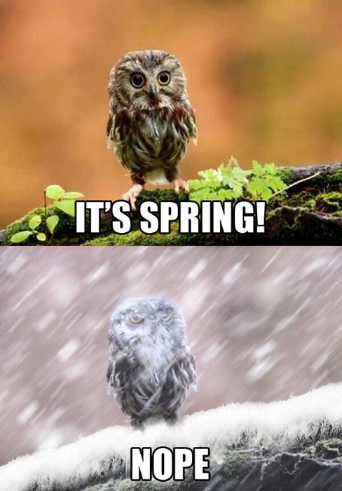 Not spring.jpg