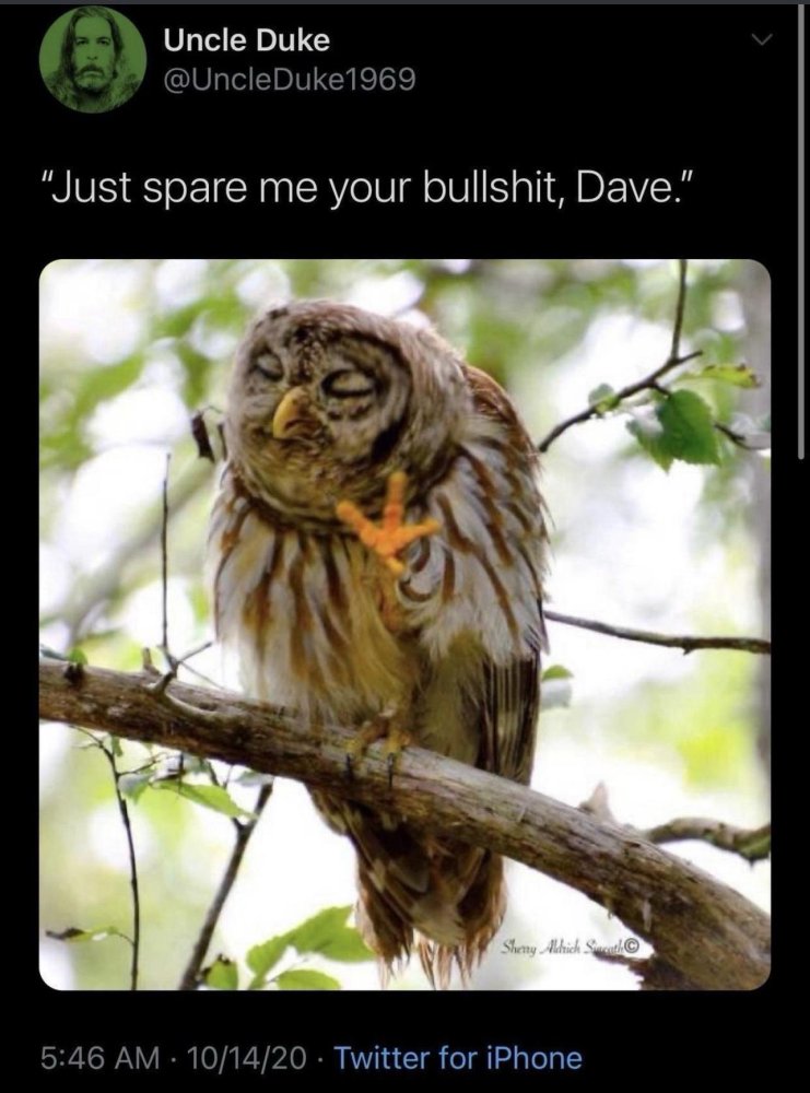 Owl says spare me your bullshit Dave.jpeg