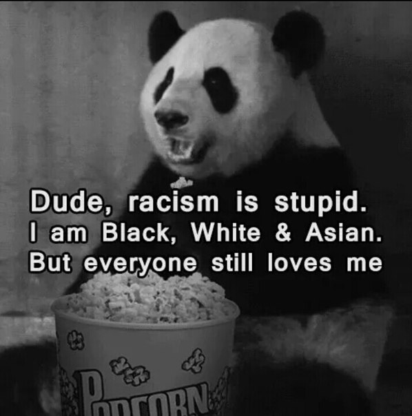 Panda says racism is stupid.jpg