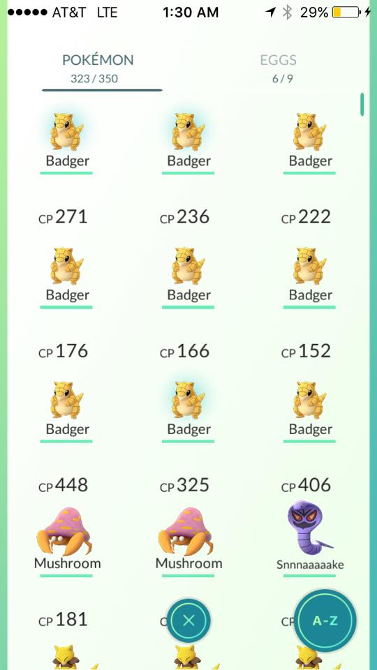 Pokemon Badger Badger.jpg