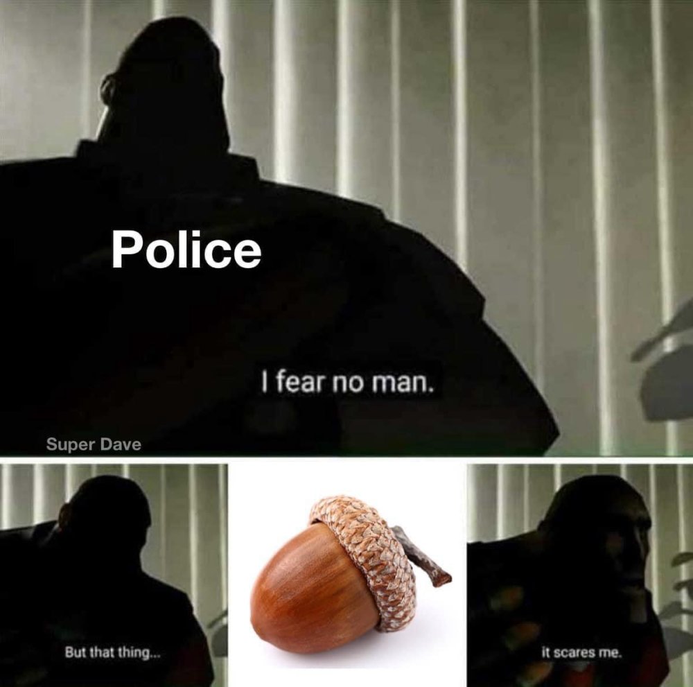 Police fear acorns.jpeg