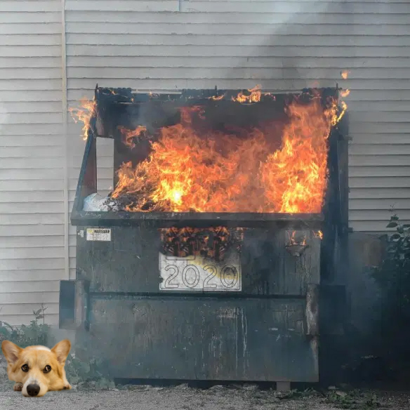 Sad Corgi 2020 Dumpster Fire.jpg