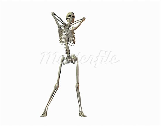 skeleton chic.jpg
