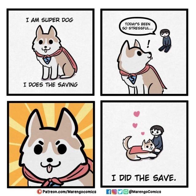 Super dog does the save.jpg