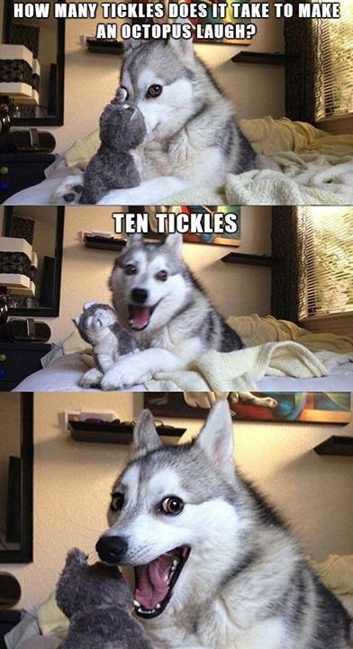 ten tickles.jpg