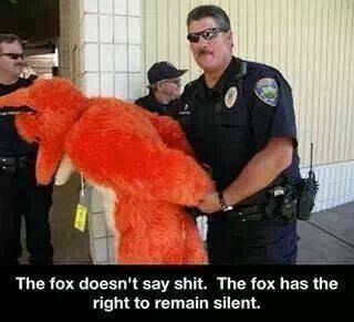 The Fox has the right to remain silent.jpg