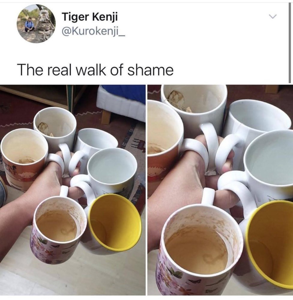 The Real Walk of Shame _ dirty mugs.jpeg