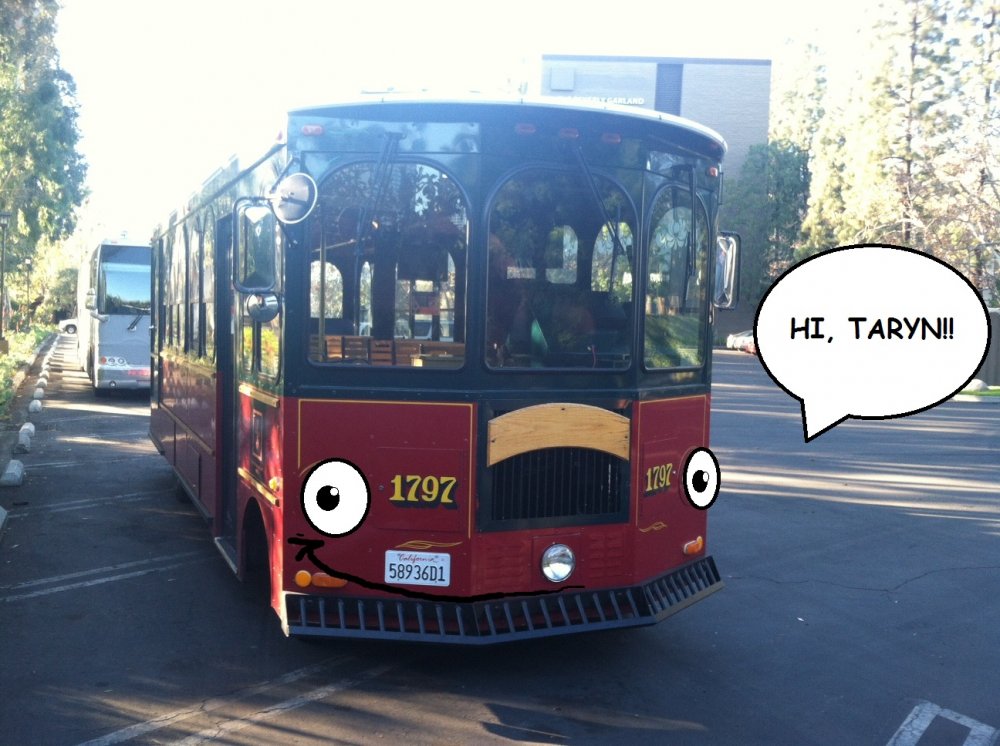 Trolley Face!.jpg