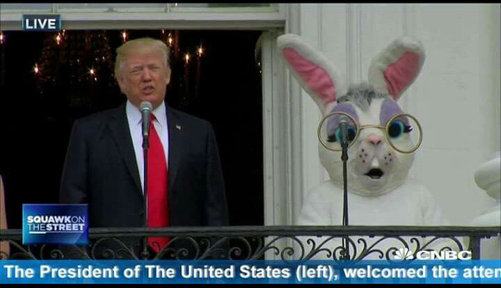 Trump Bunny.jpg