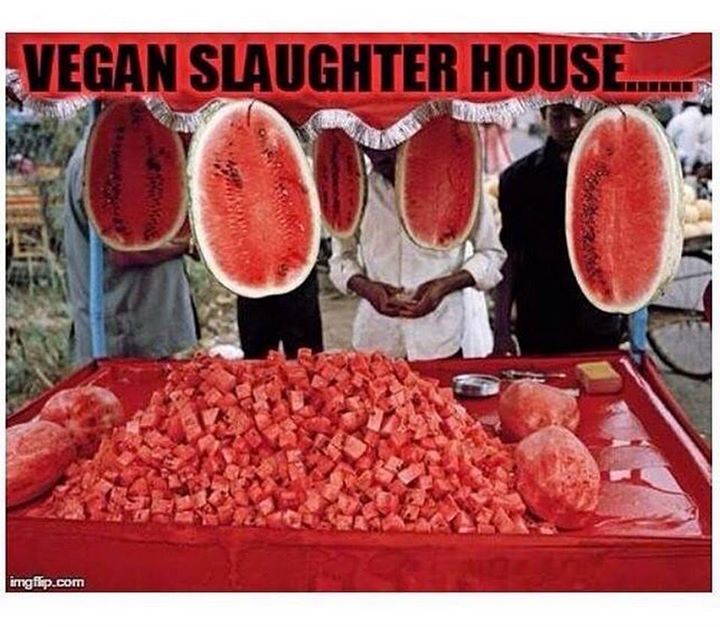Vegan Slaughter House.jpg