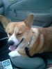 20140224_155116.jpeg