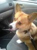 20140224_155043.jpeg