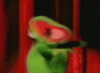 kermityay.gif