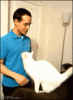 Kitty Hug.gif