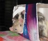 artemis and baby girl.jpg