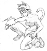 Niz By Dan.png