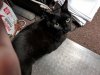 IMG_20180731_095433.jpg
