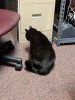 IMG_20180731_124426.jpg