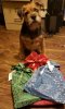 20181218_200757.jpg