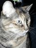 20190611_183634.jpg