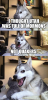 1584581362465.png