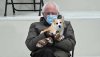 Cool Corgi Bernie.jpg