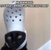 1643833799743.png